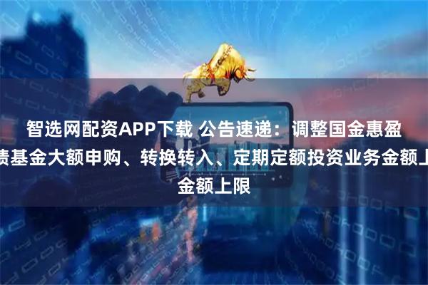 智选网配资APP下载 公告速递:调整国金惠盈纯债基金大额申购、转换转入、定期定额投资业务金额上限