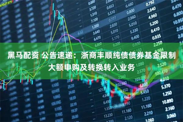 黑马配资 公告速递:浙商丰顺纯债债券基金限制大额申购及转换转入业务
