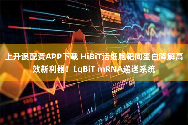 上升浪配资APP下载 HiBiT活细胞靶向蛋白降解高效新利器！LgBiT mRNA递送系统