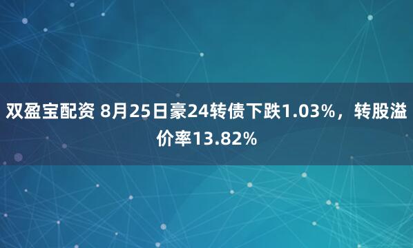 双盈宝配资 8月25日豪24转债下跌1.03%，转股溢价率13.82%
