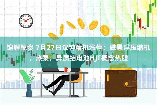 锦鲤配资 7月27日汉钟精机涨停：磁悬浮压缩机，热泵，异质结电池HJT概念热股